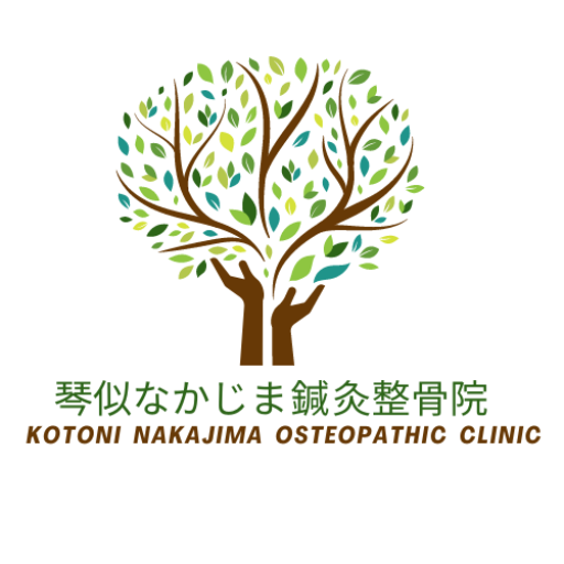 琴似なかじま鍼灸整骨院｜手技治療と美容鍼、交通事故のことなら琴似なかじま鍼灸整骨院